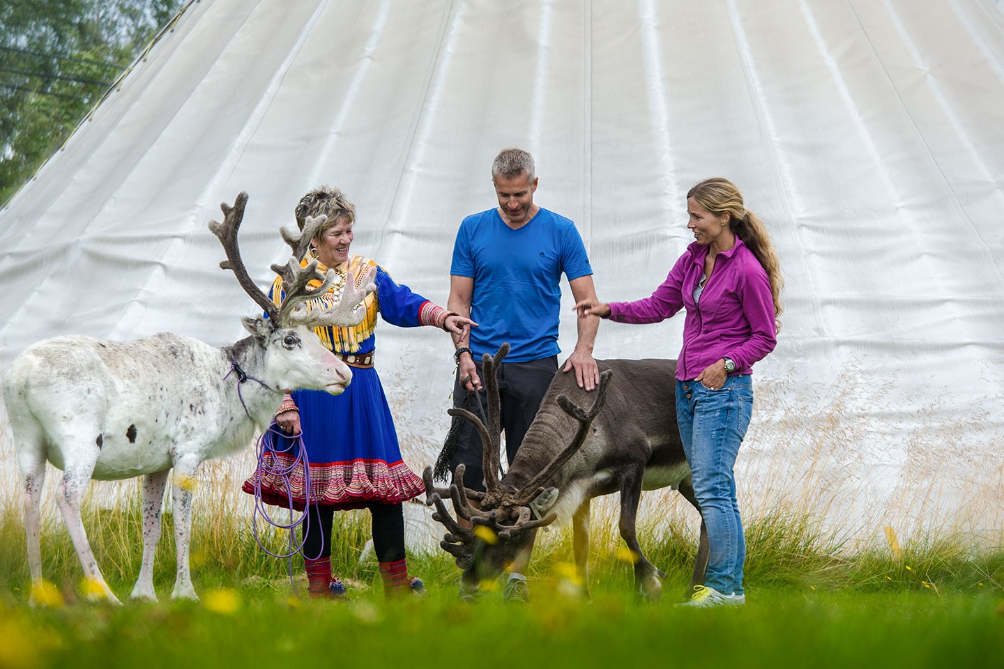 Afbeelding van Havila Excursies Tromso Kirkenes Visiting The Sami Reindeer Camp CH VisitNorway