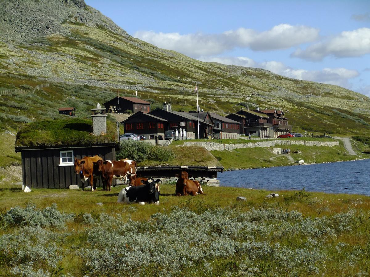 Afbeelding van Smuksjoseter Fjellstue Rondane Mountain Lodge11