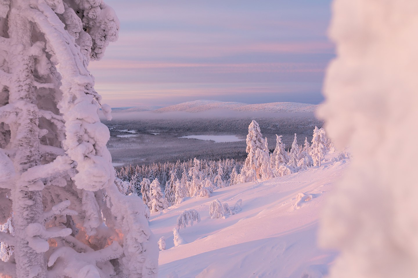 Afbeelding van WIntersportgebieden Finland Lapland Winter Pink Levi Imagebank Finland