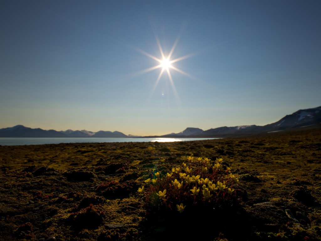 Zuid-Spitsbergen Nationaal Park