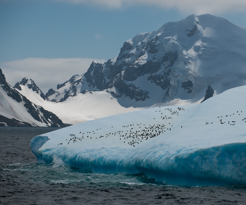 Antarctica, Zuid-Georgië en de Falklands
