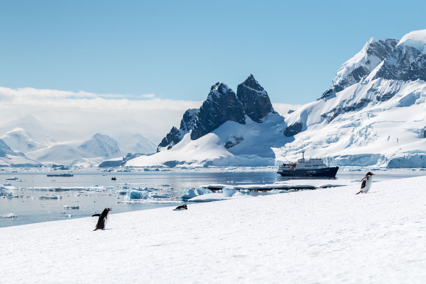 Afbeelding van Antarctica Expeditiereizen Norge Reiser Ramon Lucas