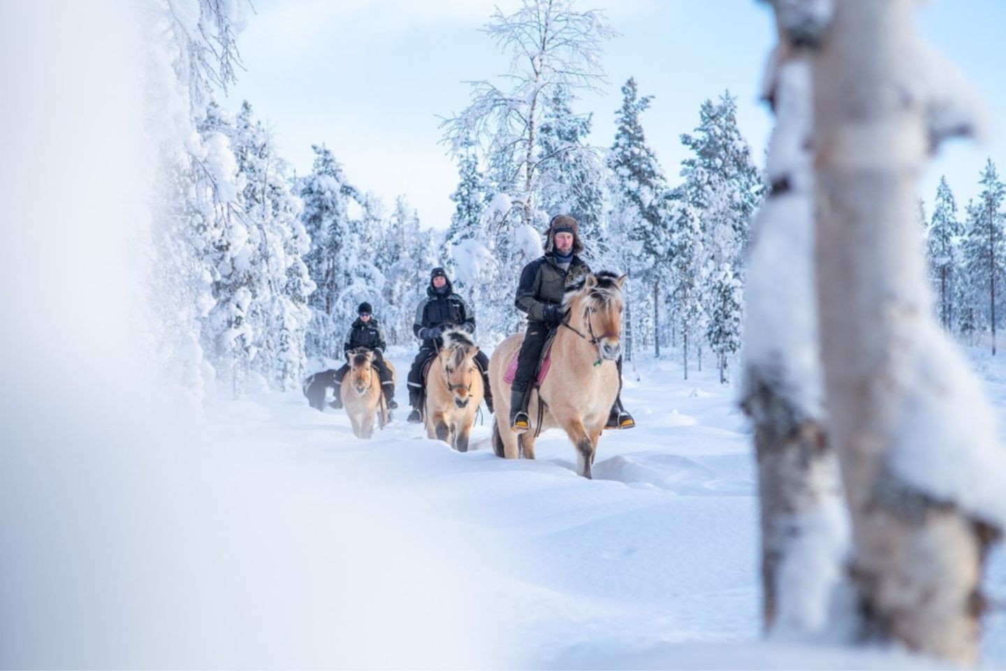 Paardrijden - Rovaniemi