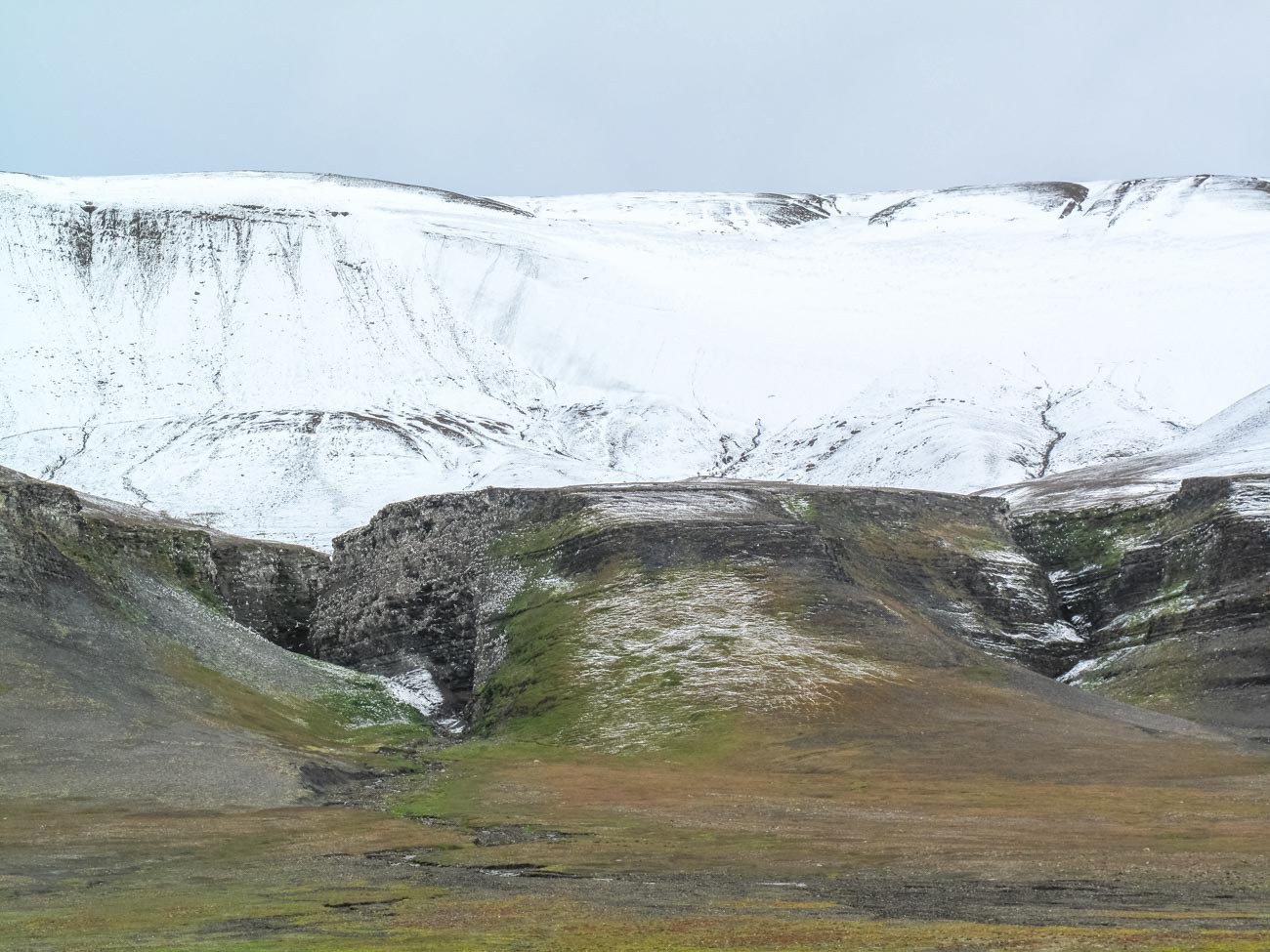 Afbeelding van Barentsoya Vogelrots Spitsbergen Norge Reiser 1448637189