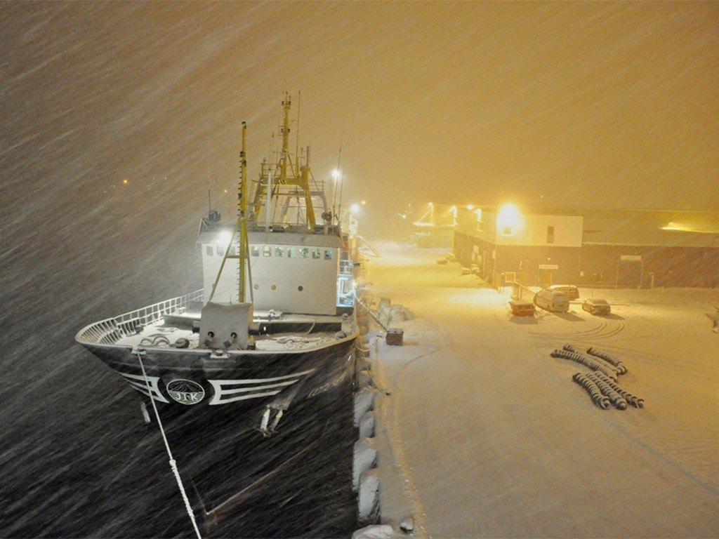Afbeelding van Batsfjord Hurtigruten Sneeuwstorm