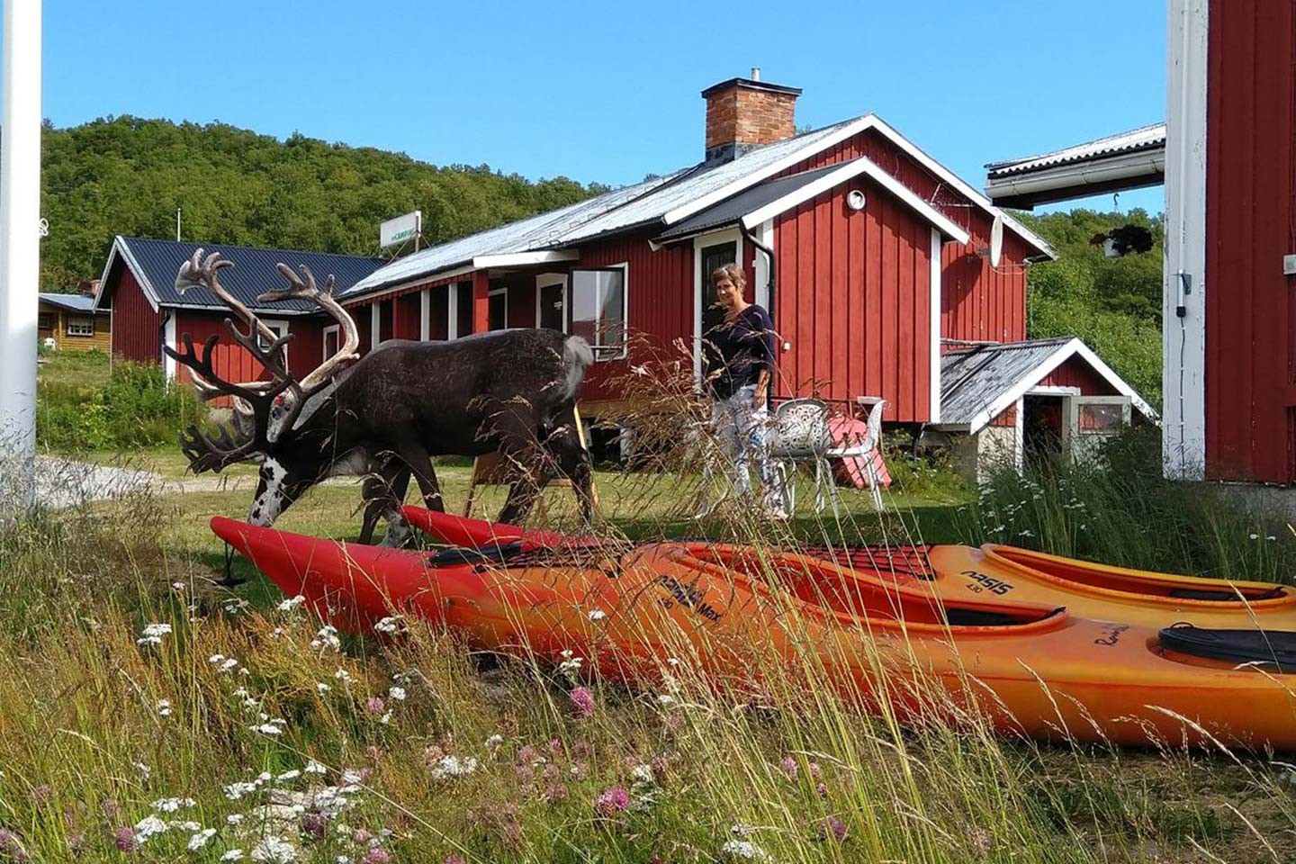 Noordkaap huttentocht Reidun: Zweden en Noorwegen