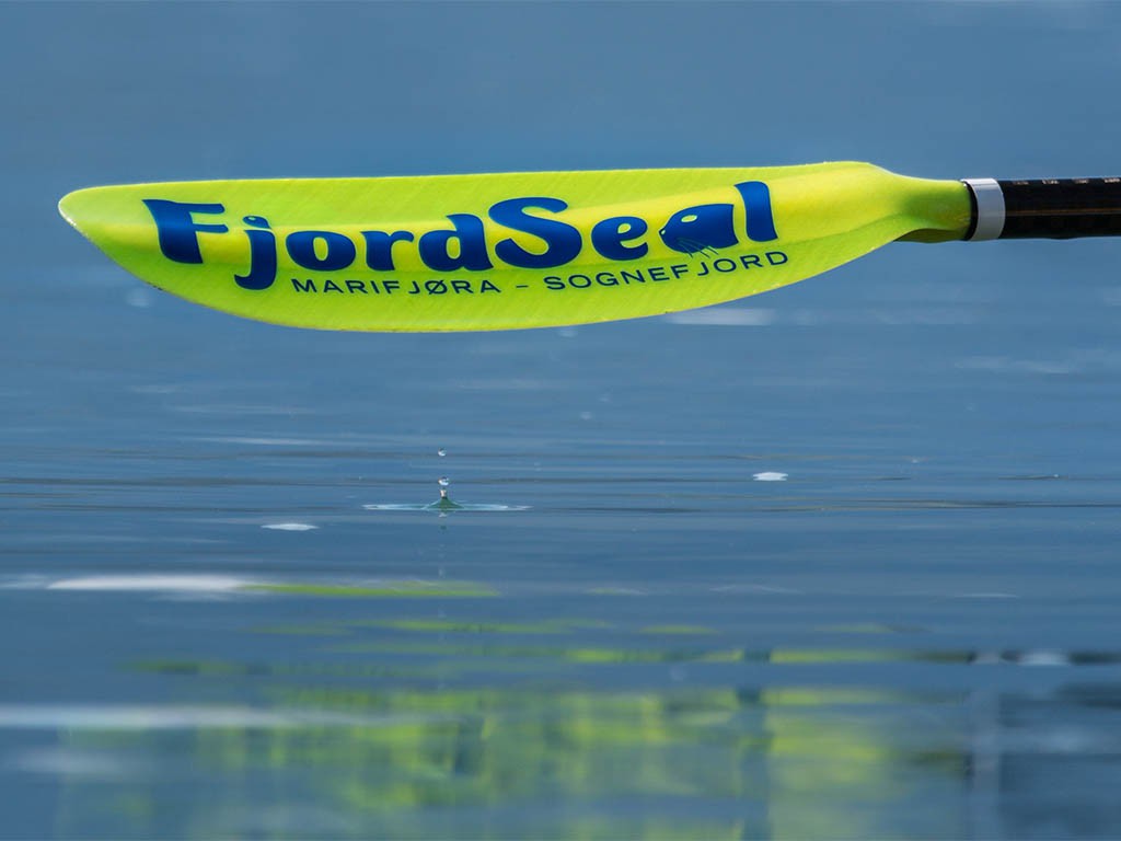 Afbeelding van Fjordseal Kayak4