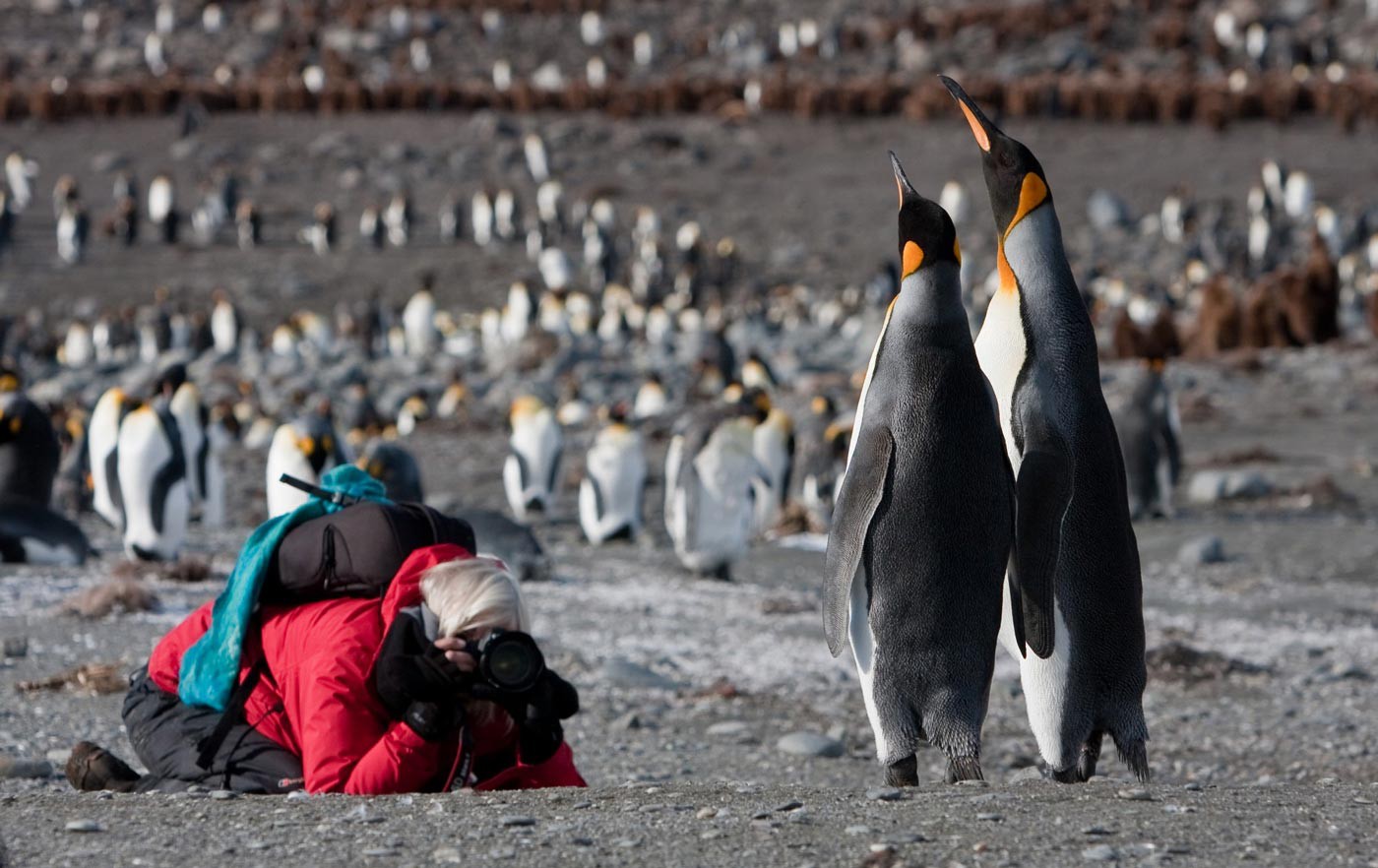 Foto workshop Antarctica