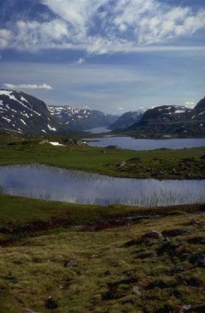 Afbeelding van Hardangervidda 1 1385722998