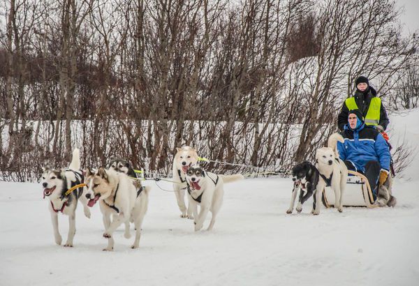 Sneeuwhotel Kirkenes: 5-daagse reis Vega
