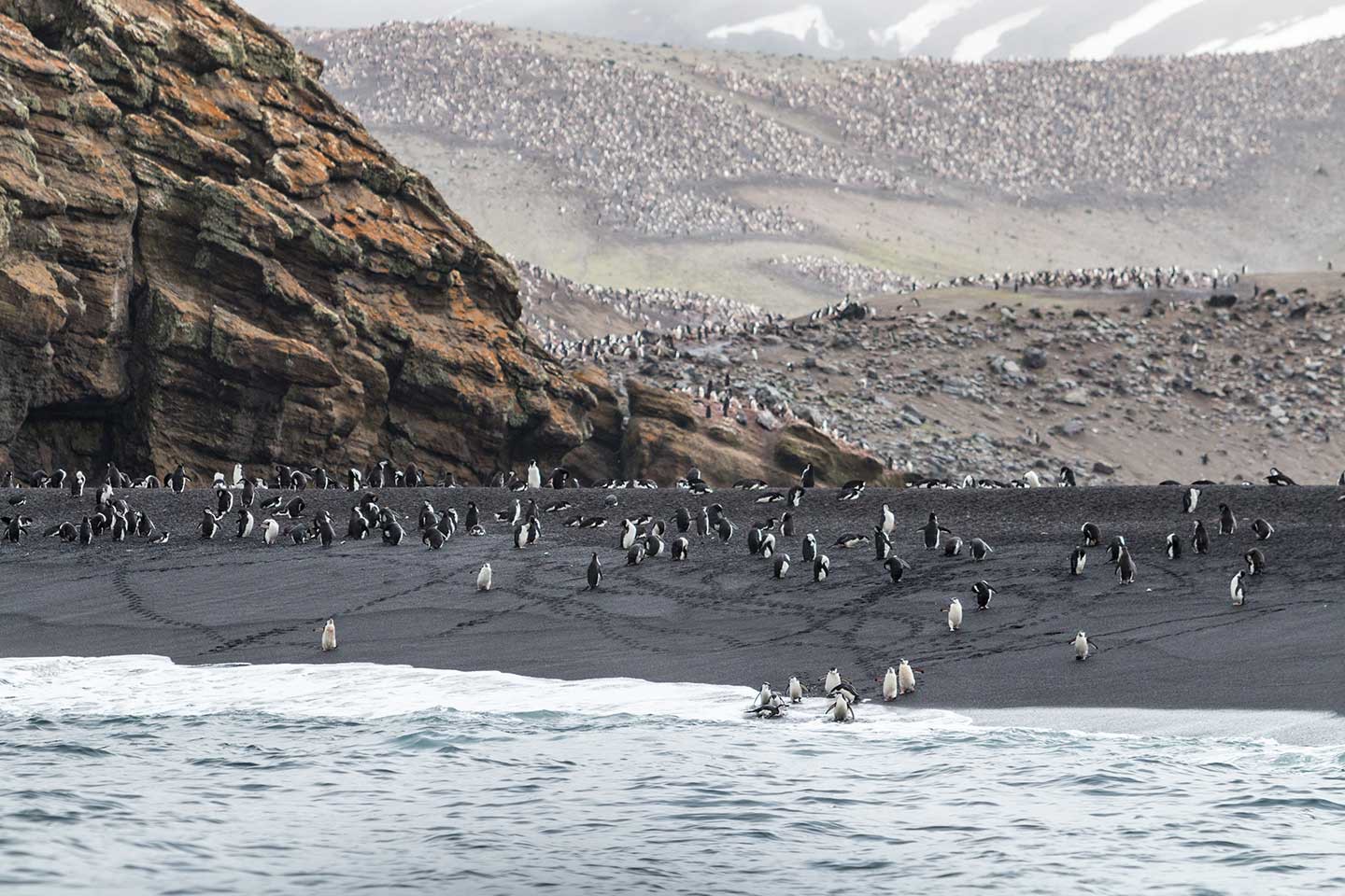 Antarctisch schiereiland, Antarctica