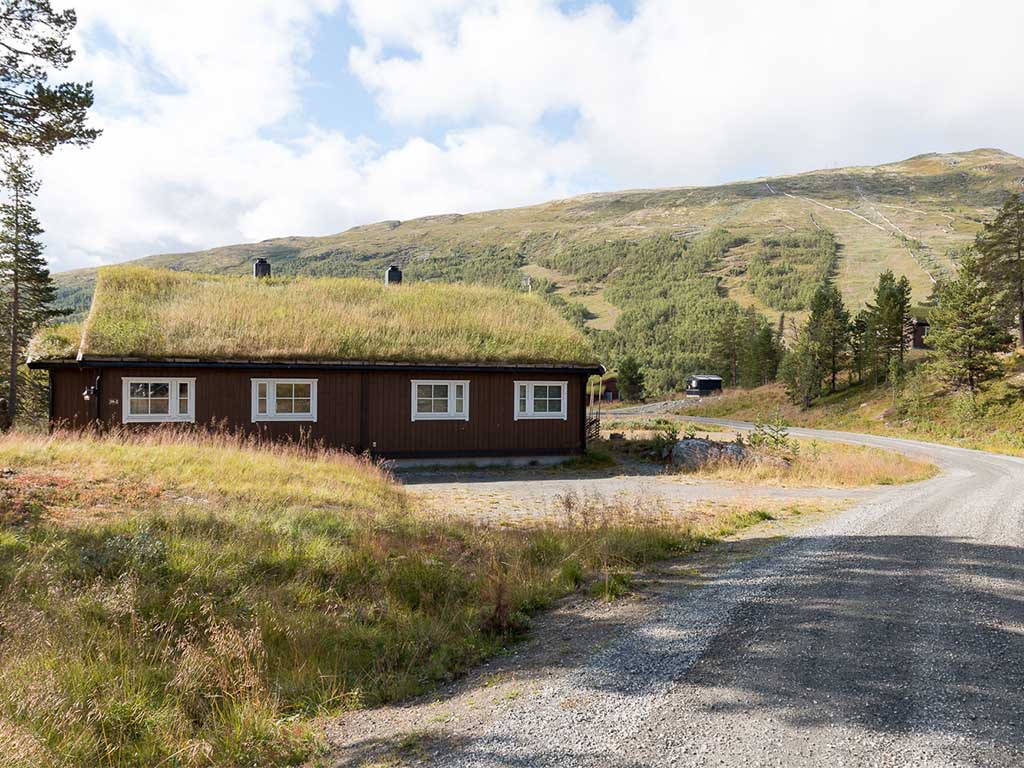 Noorwegen Rind: Rondane, Jotunheimen en Atlanterhavsvei