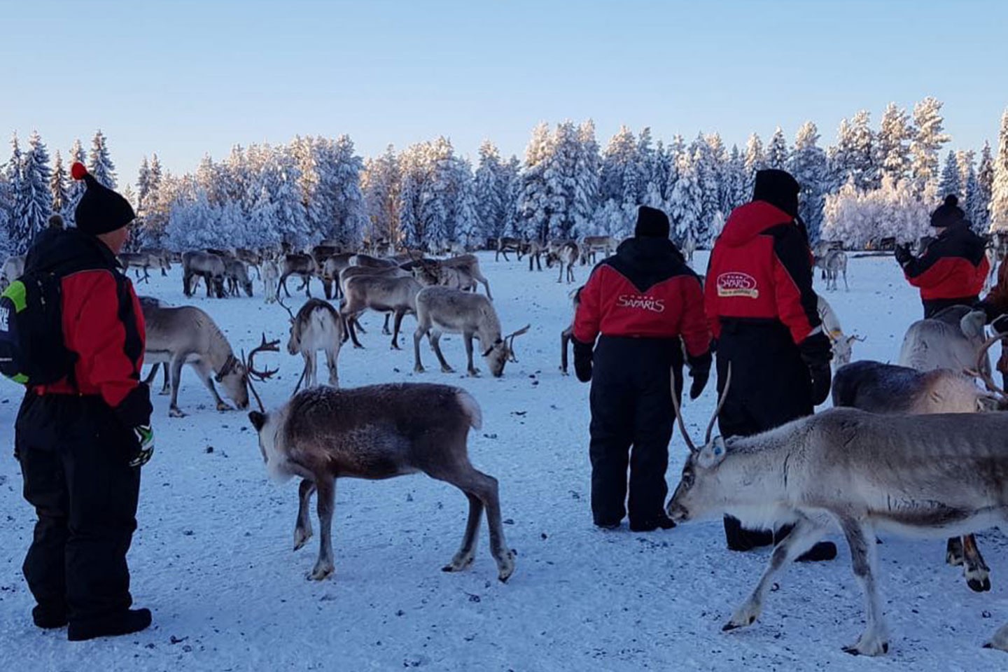 Activiteiten reis Erkki: in Ruka, Fins Lapland