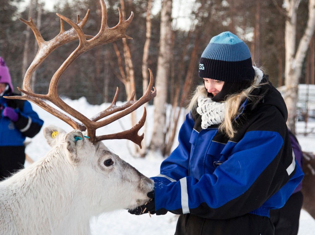 Lapland reis Finland Arvid incl. activiteiten