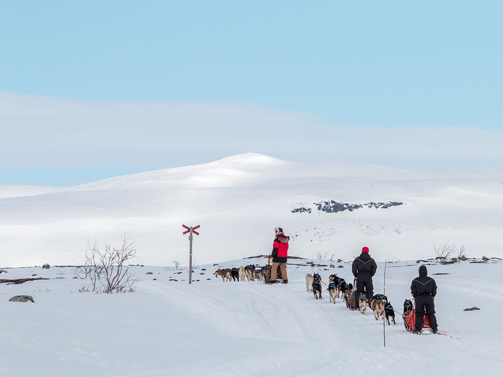 Afbeelding van Winteractiviteiten Noorwegen