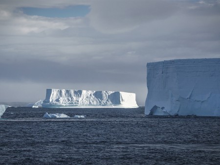 Antarctica Reizen Zuid Georgie Falklands Oceanwid Expeditions Dietmar Denger 5 Copy