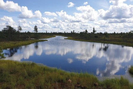 Bungalowrondreis Baltische Staten Aras Kemeri Nationaal Park