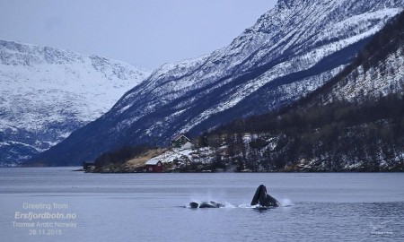 Ersfjordbotn Tromso Kvaloya