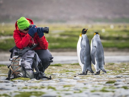 Pinguin Reis Oceanwide Expeditions Dietmar Denger 6