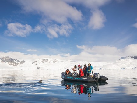 Pinguin Reis Zodiac Oceanwide Expeditions Dietmar