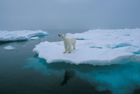 Spitsbergen Fotografiereis