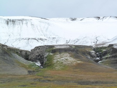 Barentsoya Vogelrots Spitsbergen Norge Reiser 1448637189