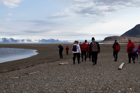 Beluga Reizen Wandelen Op Spitsbergen
