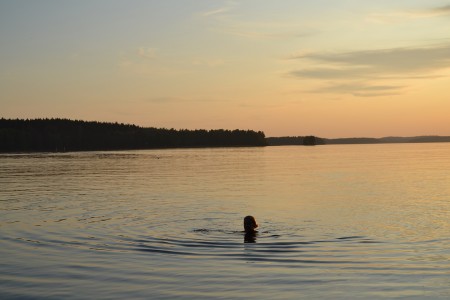Bungalow Rondreis Finland Asen Finland Lakeland Hauho Swimming