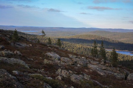 Gegidste Wandeling Inari Lapland Wilderness