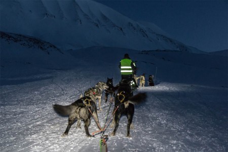 Hondensledetocht Spitsbergen Bolterdalen 3