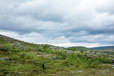 Hotelreis Vidar Lapland Overnight Hike With Dogs Trasti Trine Sara Johannessen Visitnorway Com
