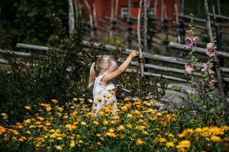 Kindvriendelijke Vakantie Zweden Denemarken Oscar Alexander Hall Picking Berries