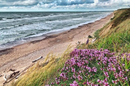 Wandeling Kust Baltische Staten Baltic Coastal Hiking Livij Ar